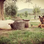 Gio Horses 3* سان نيكاندرو غارغانيكو