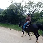 Gio Horses فندق مبيت وإفطار