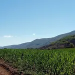 Gio Horses سان نيكاندرو غارغانيكو