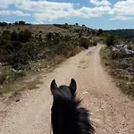 فندق مبيت وإفطار Gio Horses