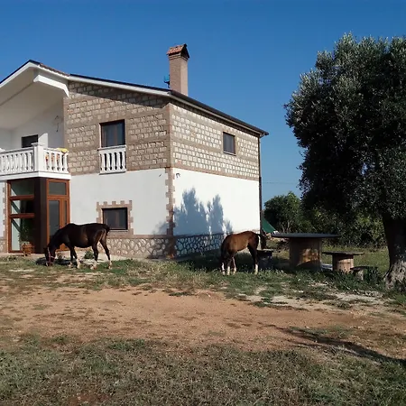 Gio Horses 3*