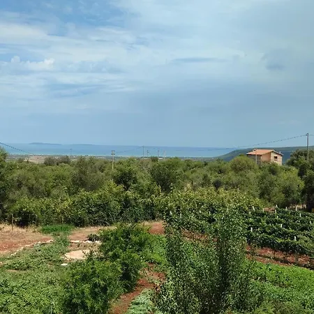 Gio Horses Bed & Breakfast