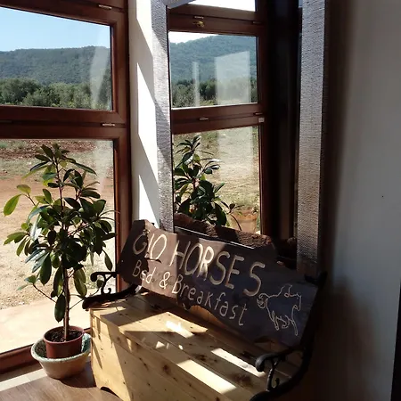 Bed & Breakfast Gio Horses San Nicandro Garganico