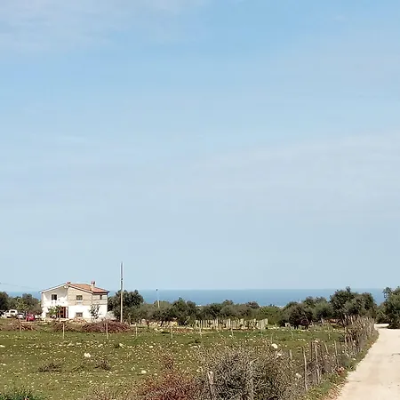 Bed & Breakfast Gio Horses 3*