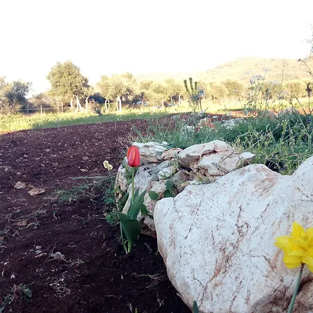 Gio Horses 3* San Nicandro Garganico