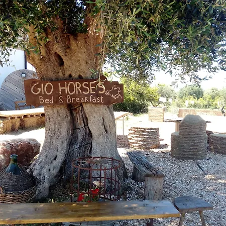 Gio Horses 3*