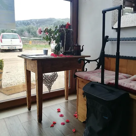 Bed & Breakfast Gio Horses 3*