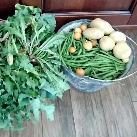 Bed & Breakfast Gio Horses