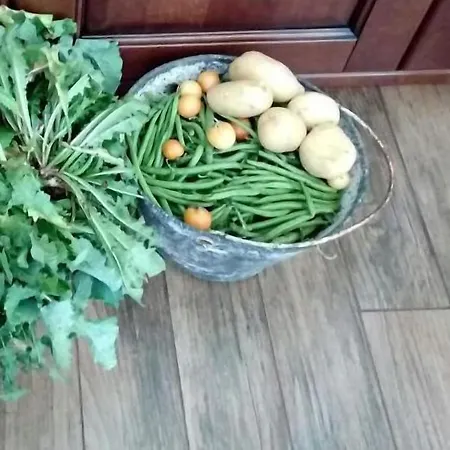 Gio Horses 3* San Nicandro Garganico