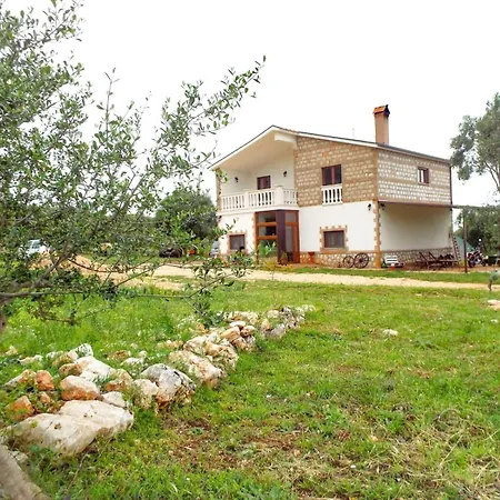 Gio Horses Bed & Breakfast