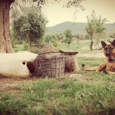 Gio Horses 3* San Nicandro Garganico