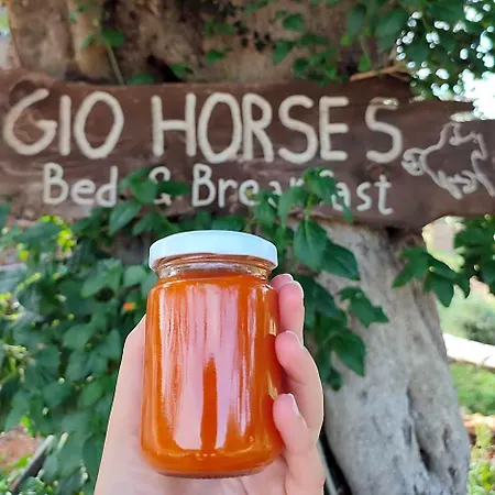 Gio Horses San Nicandro Garganico