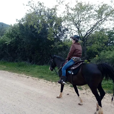 Gio Horses Bed & Breakfast