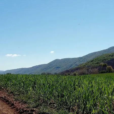 Gio Horses San Nicandro Garganico