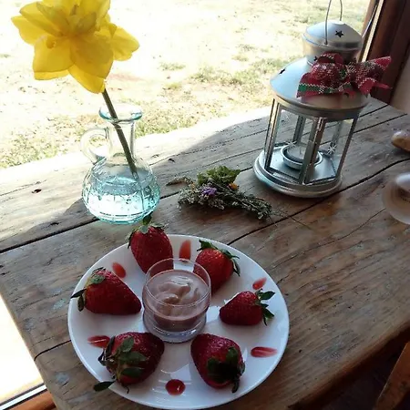 Gio Horses Bed & Breakfast 3*