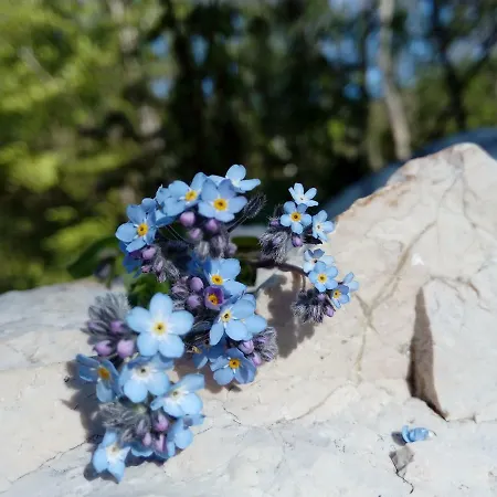 Bed & Breakfast Gio Horses 3*