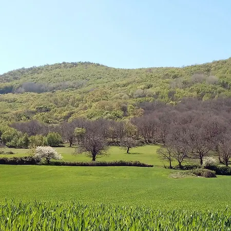 Gio Horses Bed & Breakfast 3*