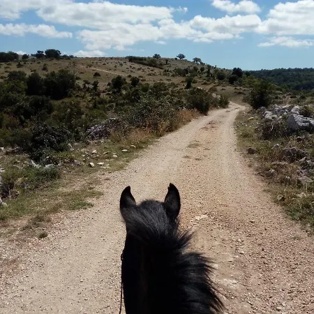 Bed & Breakfast Gio Horses