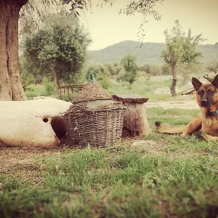 Gio Horses Bed & Breakfast San Nicandro Garganico